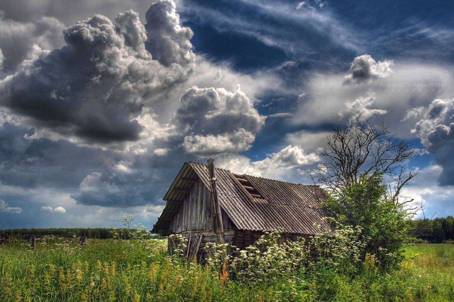 , Александр Аседач