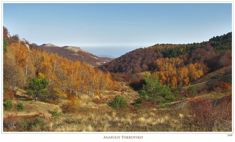 Берёзово-буковое разнообразие переживания осени фото превью