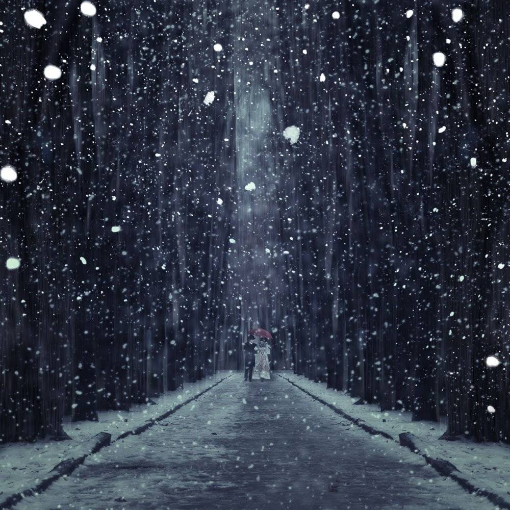 park, winter, tree, romantic, snow, walk, couple, ice, victorian, pass, Caras Ionut