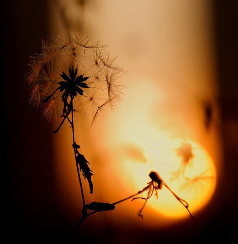 Hot Summer фото превью