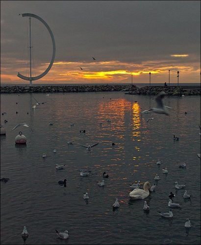 [sunset in lausanne]