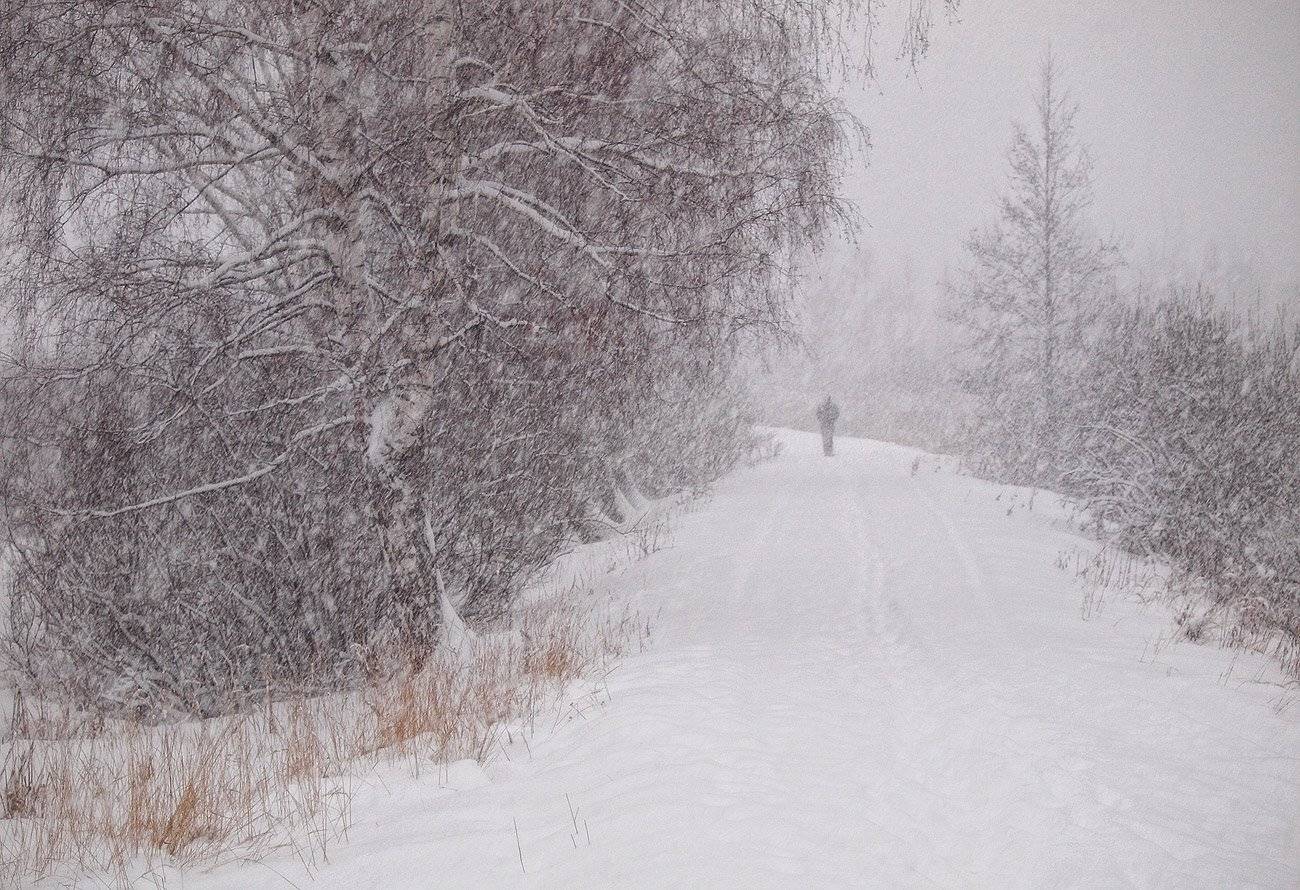 , Владимир Перепечаев
