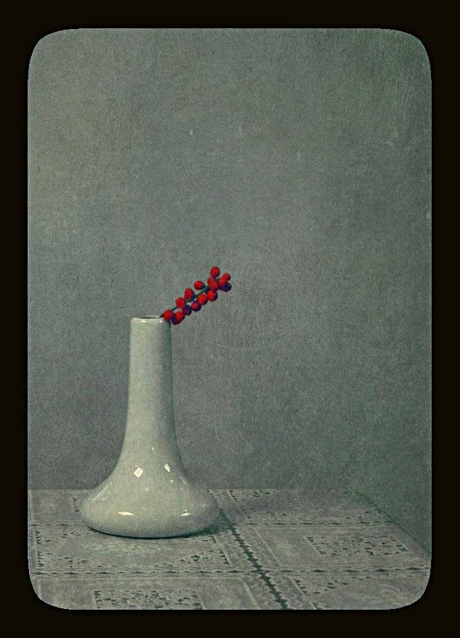 натюрморт ,омела, Юлия Володина