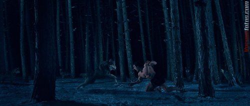 Rati Tsiteladze Vs wolves