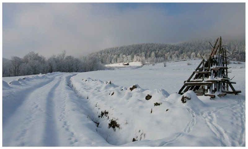 * фото превью