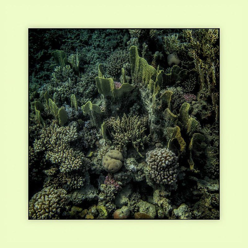 Фактуры подводного мира фото превью