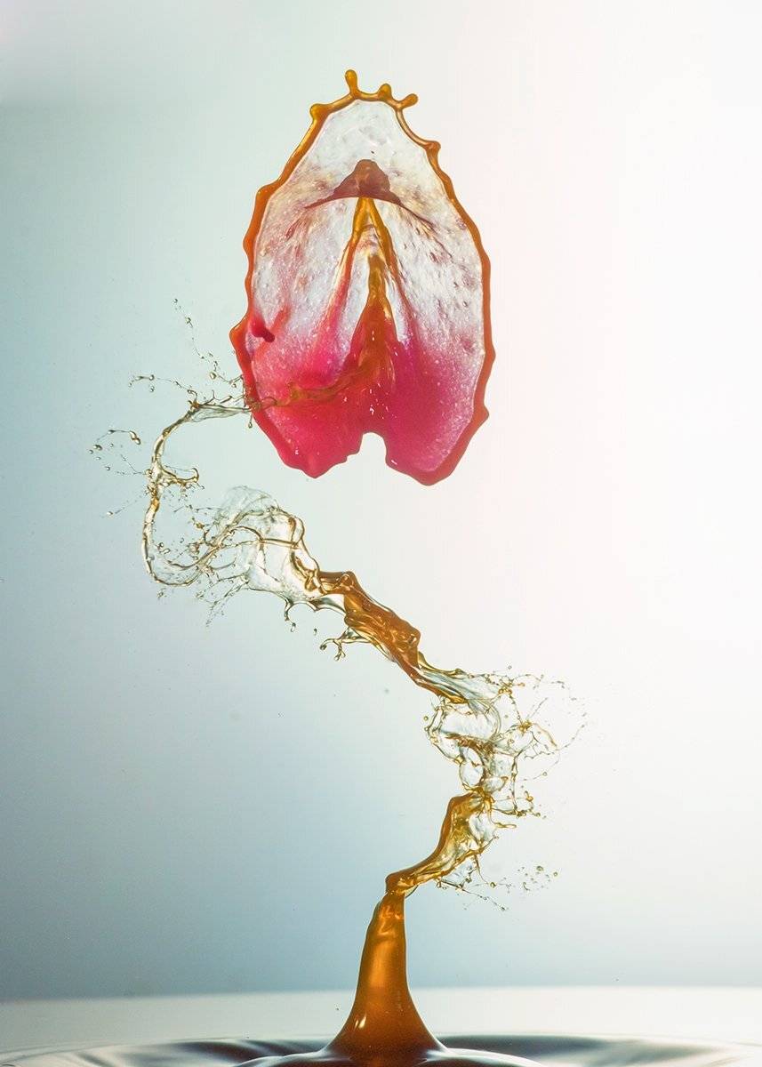 waterdrop,splash,abstract,liquid,art,nacro, mustafa yagci