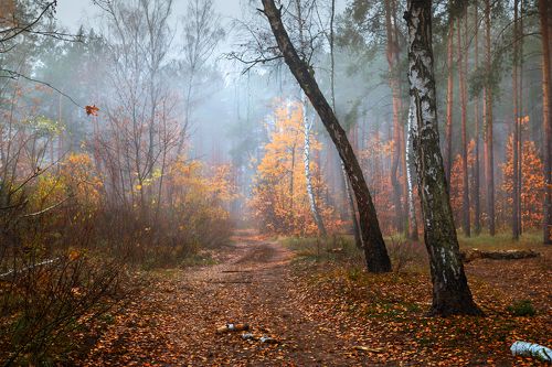 Задумчивая осень