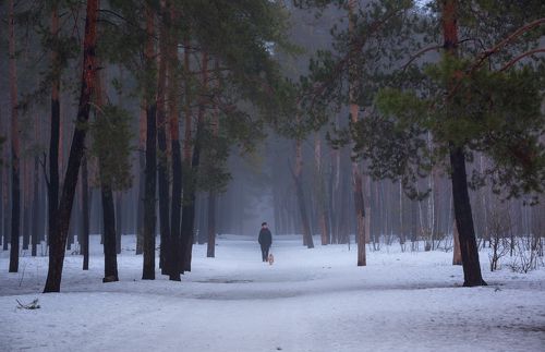 Средь тишины