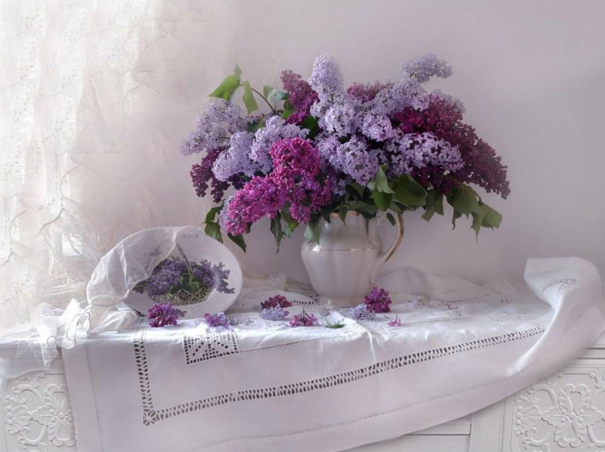 still life,натюрморт,цветы, фото натюрморт, сирень, май, вспомнилось, Колова Валентина