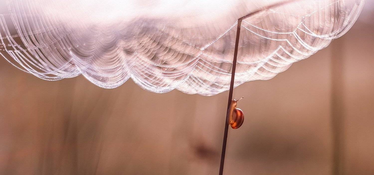 , Вячеслав Мищенко