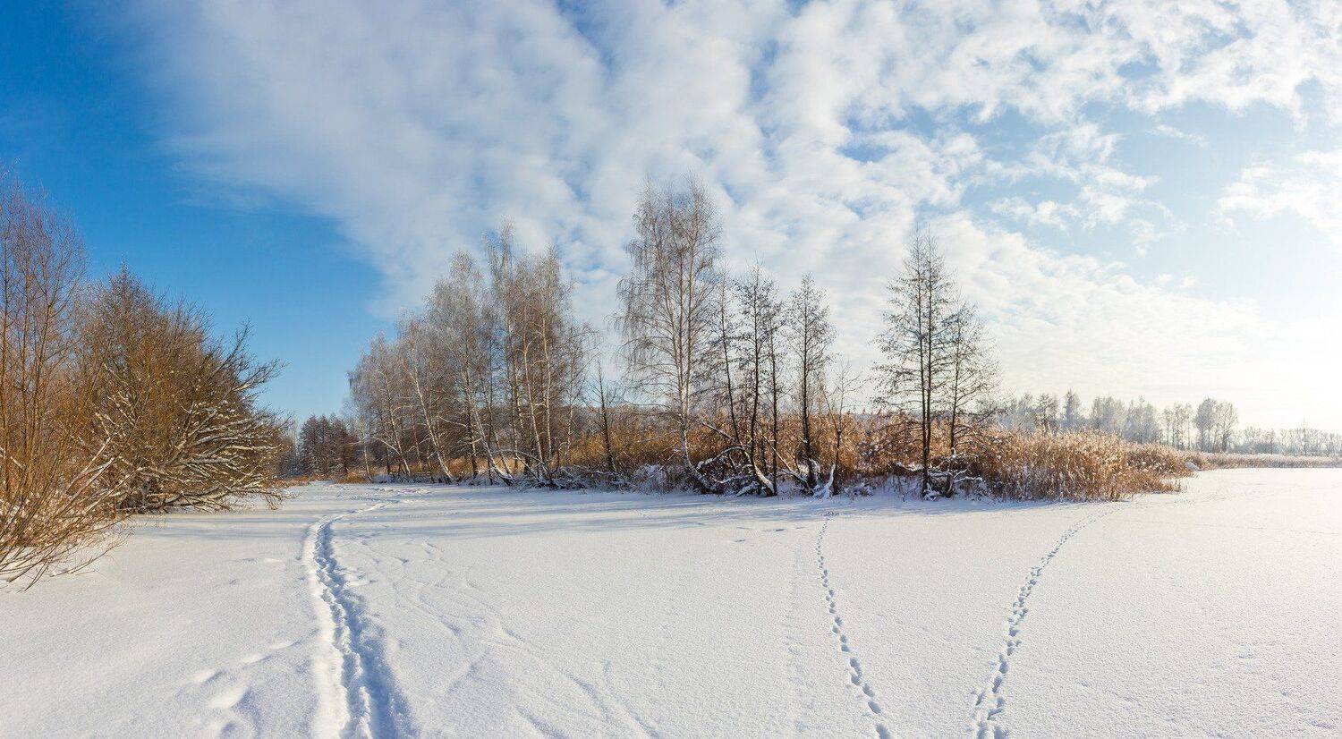 лес, зима, мороз, снег, река, Руслан Востриков