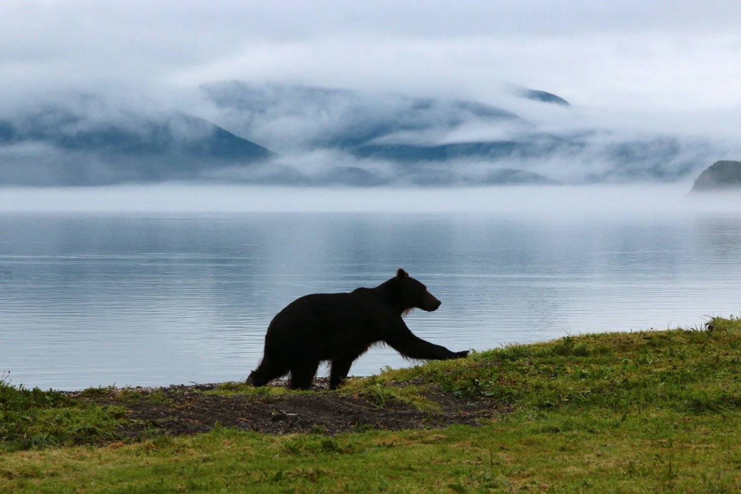 , Артем Картавцов
