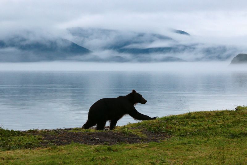 Туман на Курильском озере фото превью