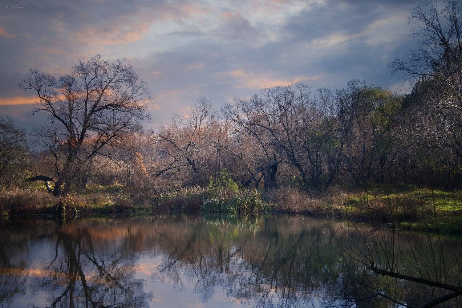 весна,утро,берег,озеро, Roma  Chitinskiy