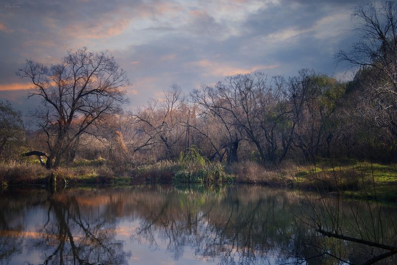 весна,утро,берег,озеро Берег надежды ... фото превью
