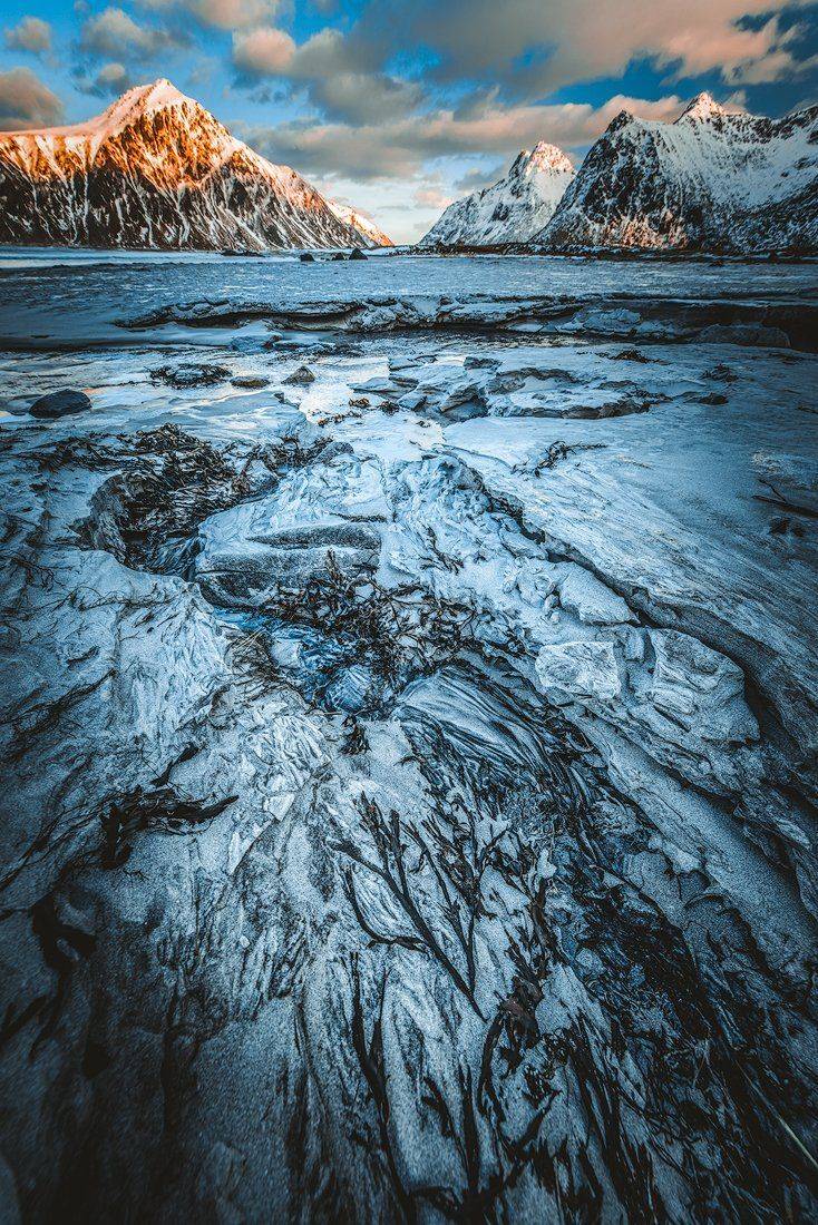 , Тодор Божков