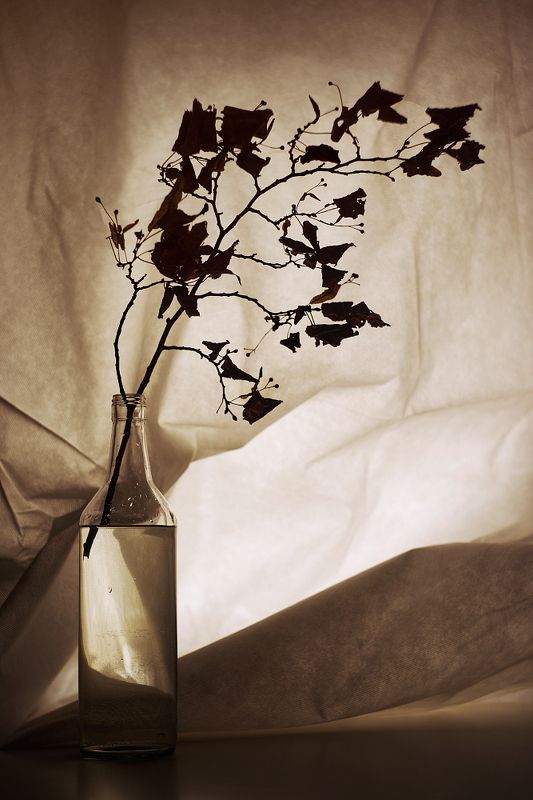 Ржавчина фото превью