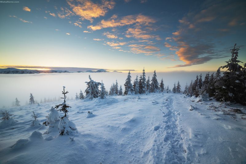 Walk фото превью