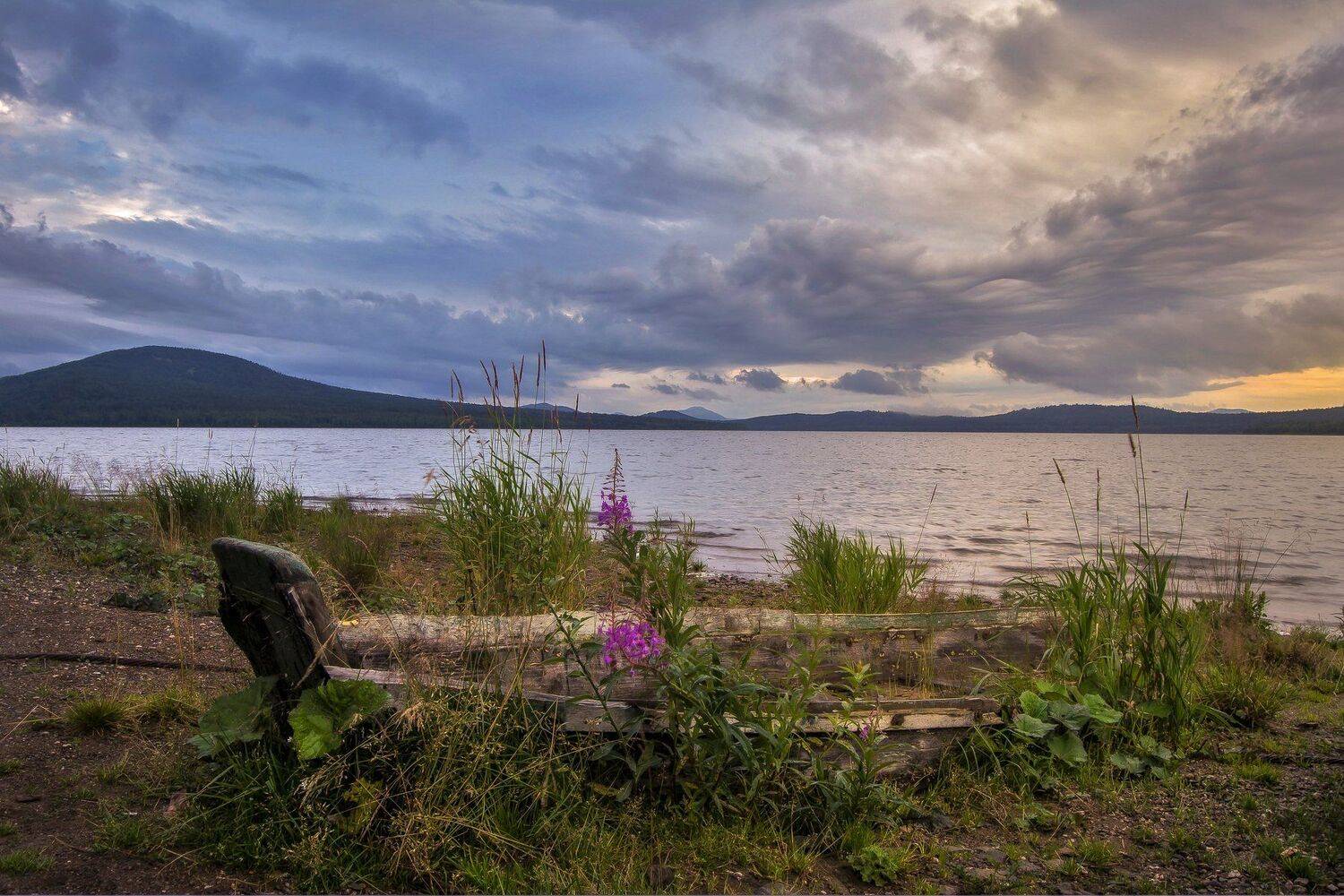 , Андрей Шарапов