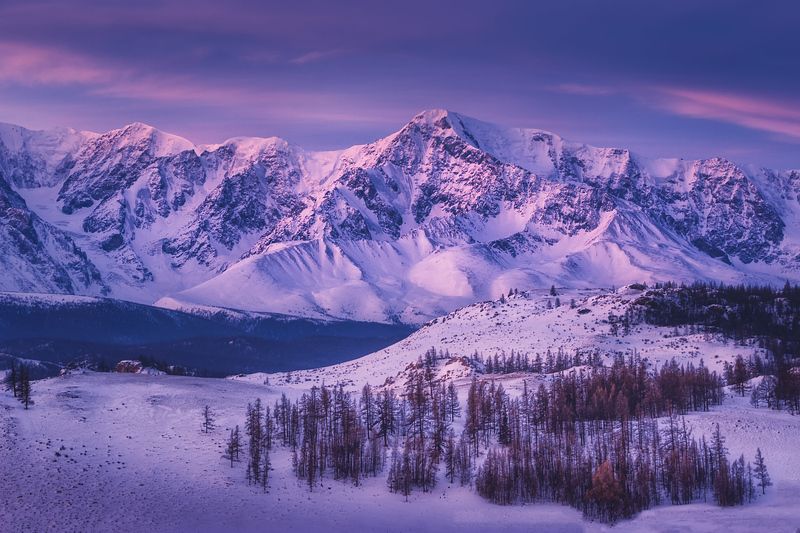 После морозной ночи. В горах Алтая фото превью