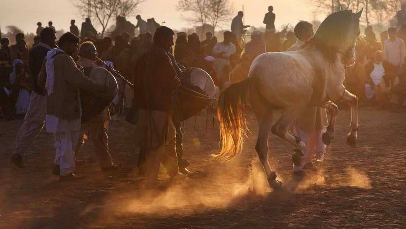 *==* фото превью