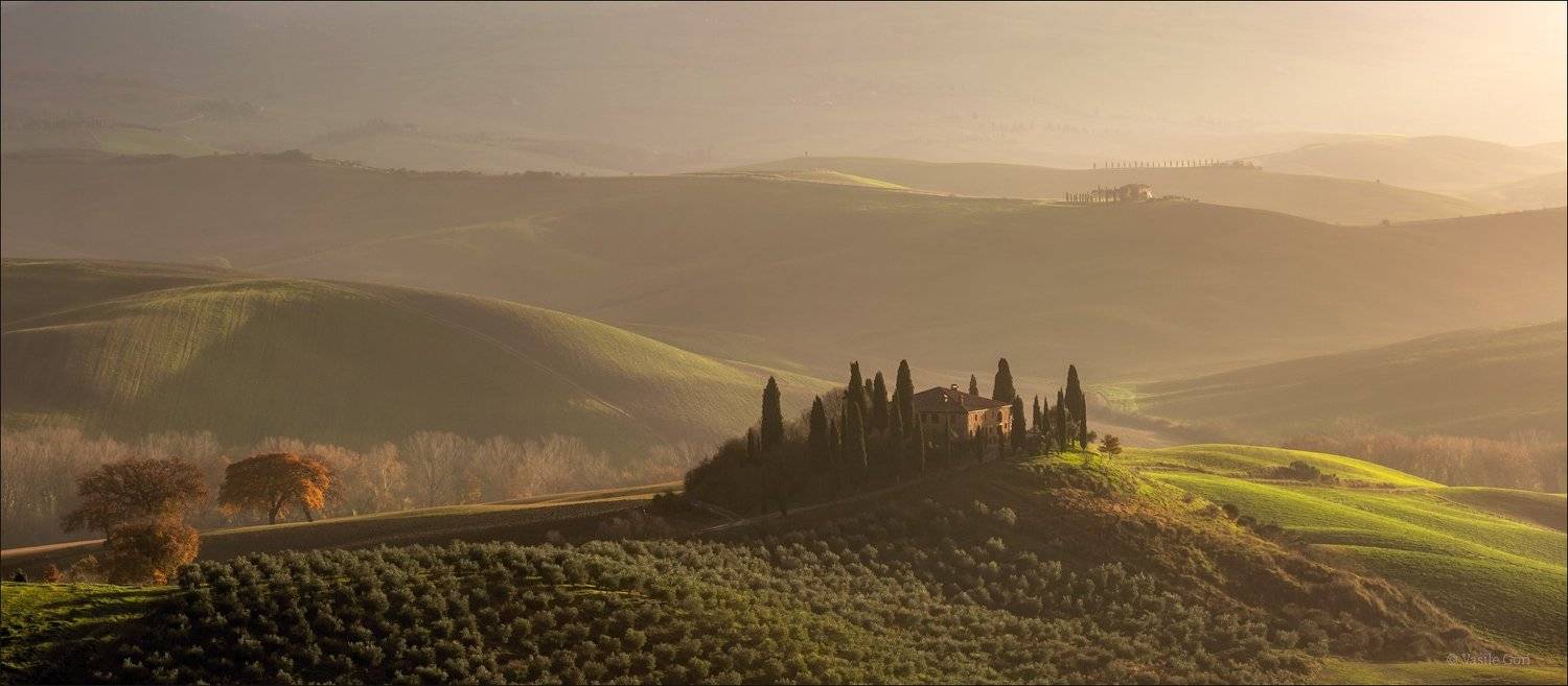 italy,san quirico d\'orcia,italia,свет,пейзаж,италия,тоскана,дерево,toscana,зима,tuscany,бельведере,пейзажи тосканы, Василий Гори