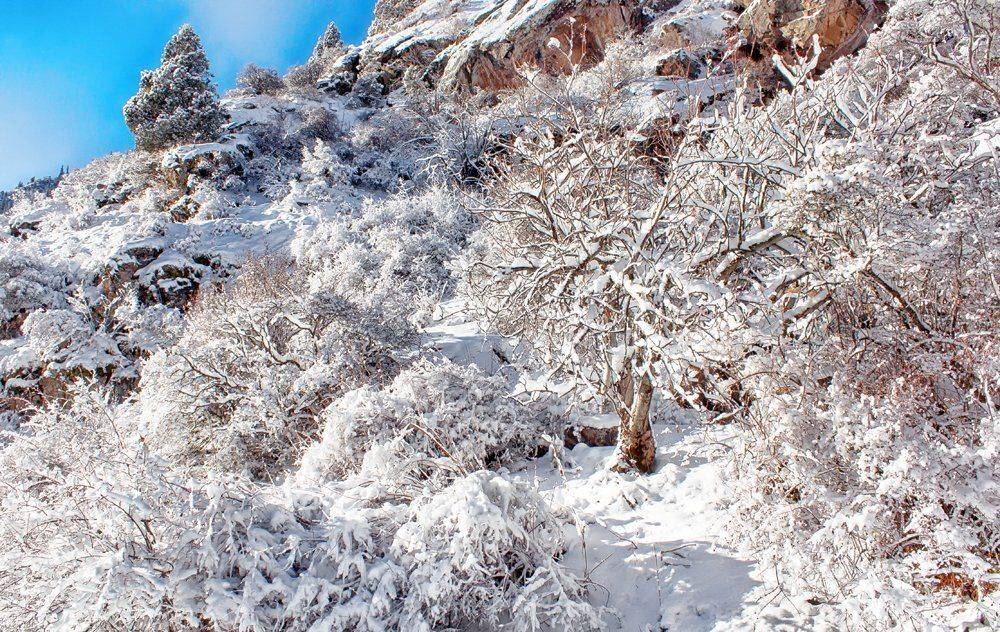 кыргызстан, горы, Элина Магалимова