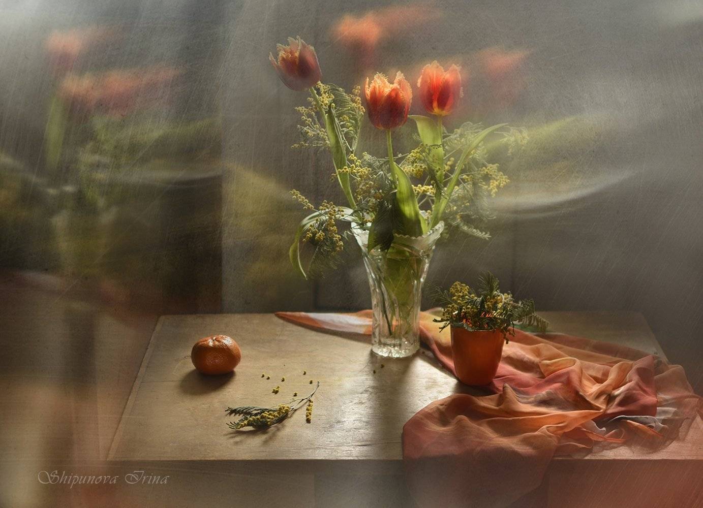 , Шипунова Ирина