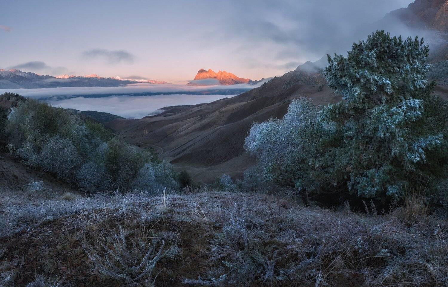 кавказ, ингушетия, Андрей Грачев