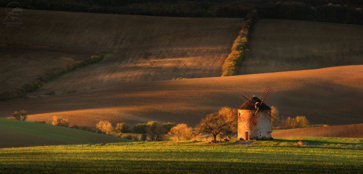пейзаж, природа, поле, моравия, чехия, мельница, Анатолий Гордиенко