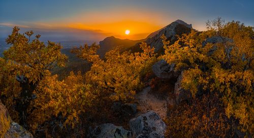 Место под солнцем