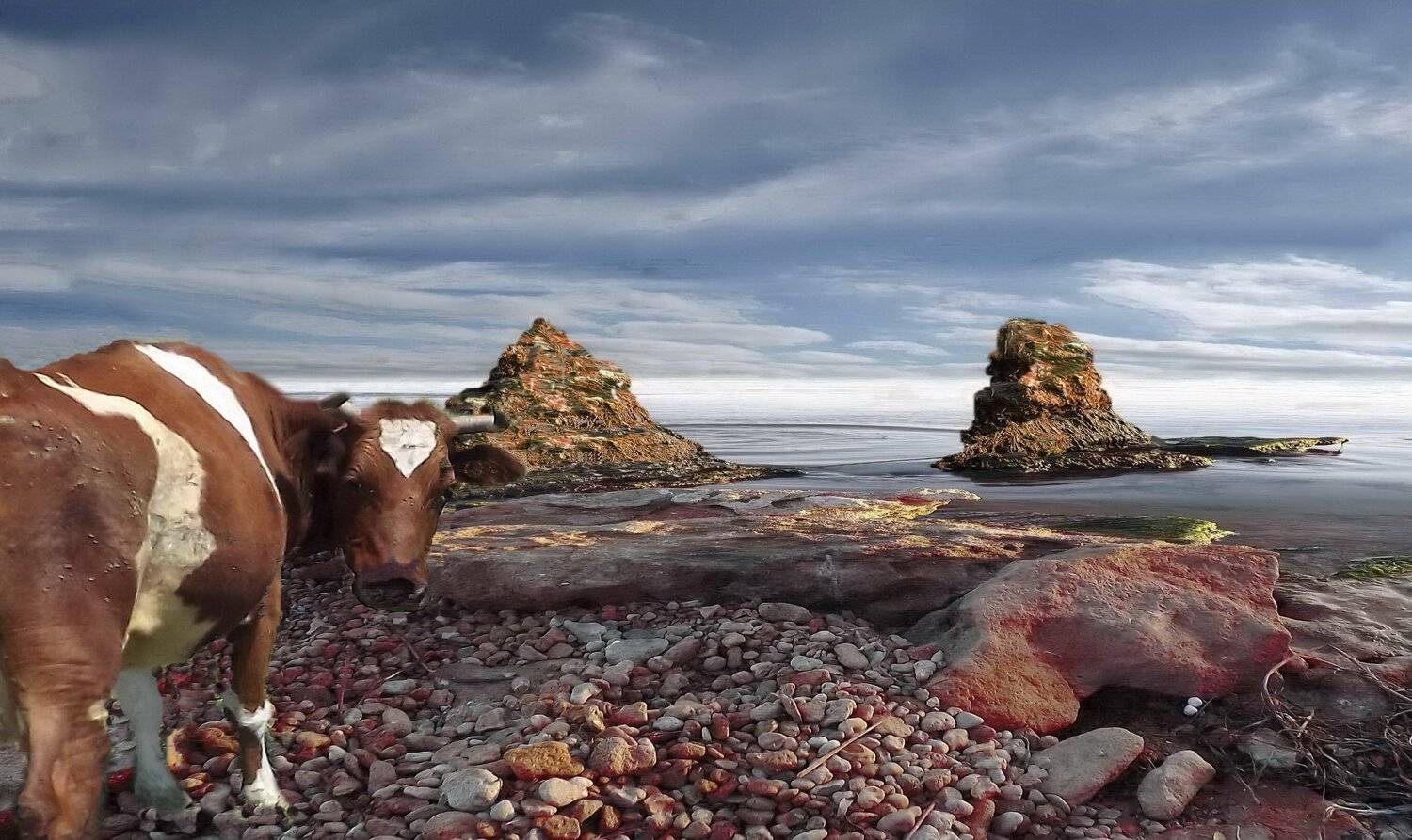 одесса, Сергей Кошелев