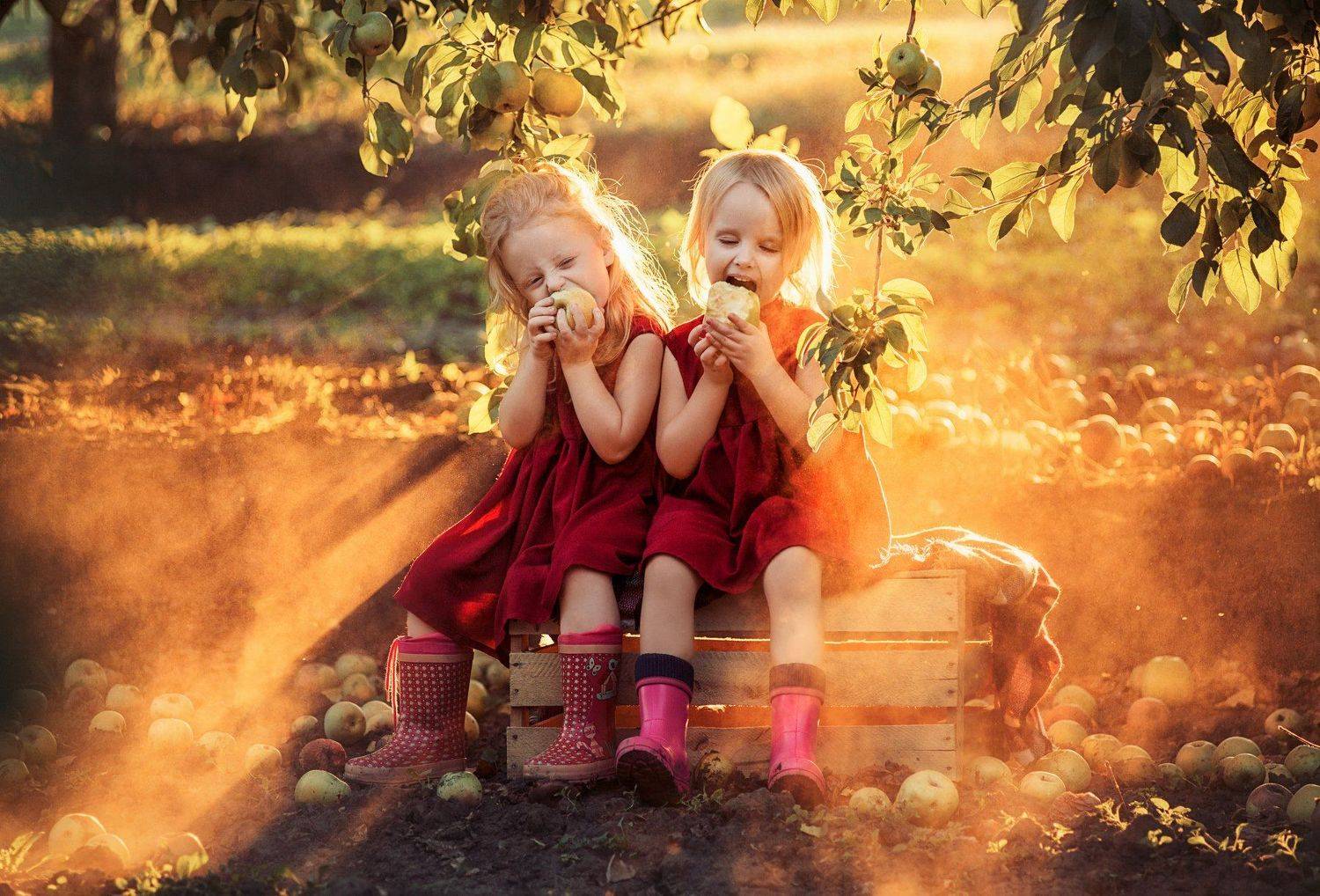 яблоки, ящик, яблоневые сады, сады, девочки, лето, урожай, Светлана Червинская