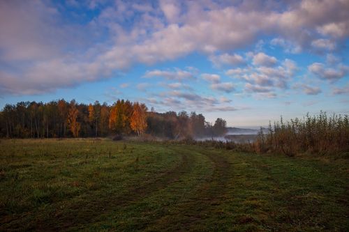 Осеннее утро