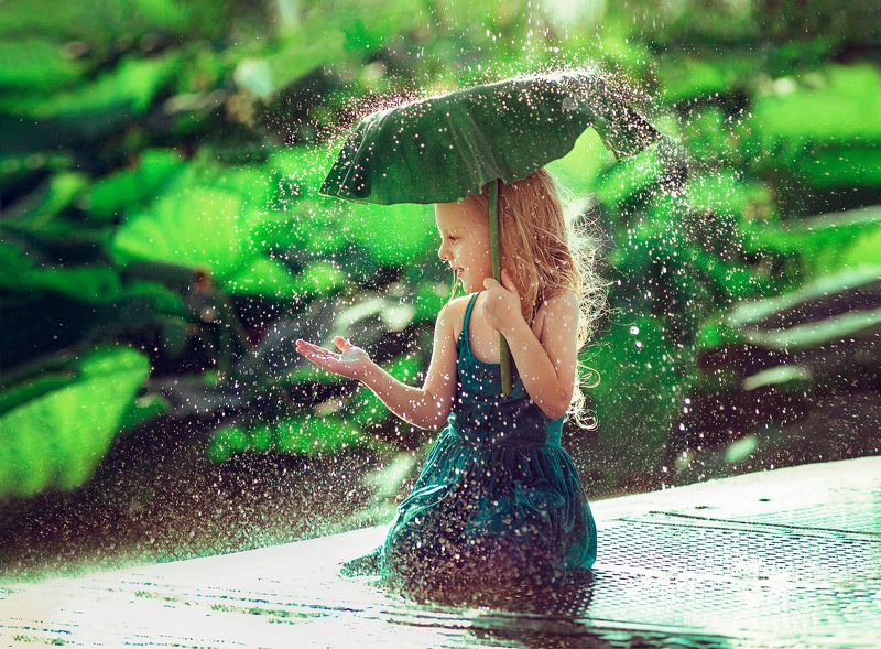 дождь, лотосы, лето, девочка, лист  фото превью