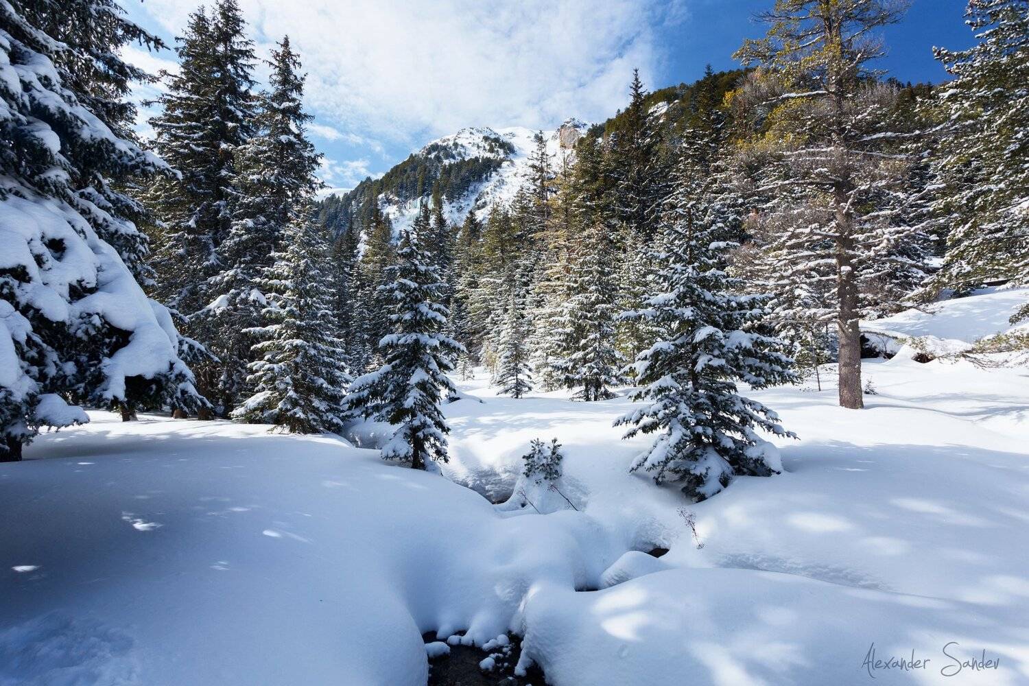 , Александър Сандев