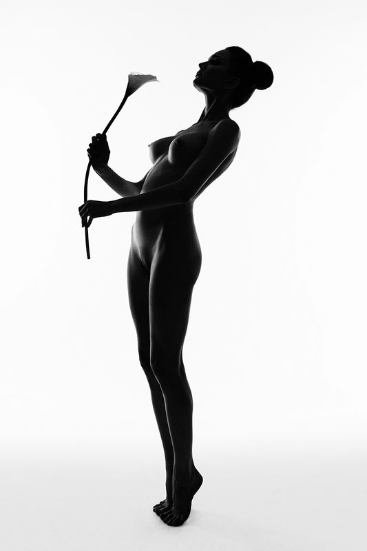 калла фото превью
