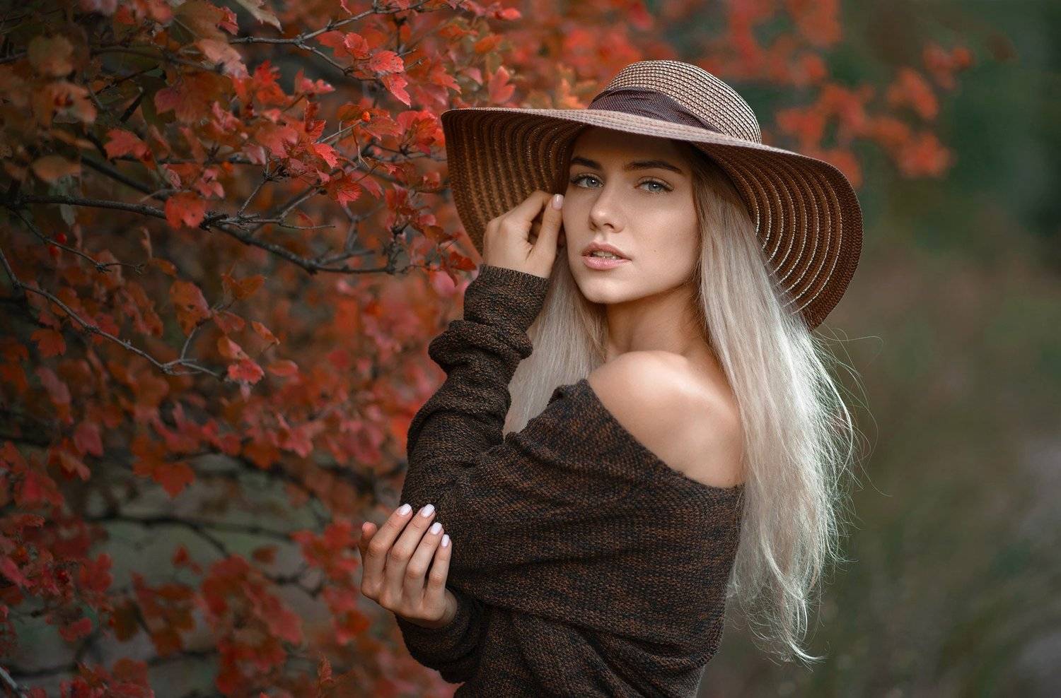 , Альберт Лесной