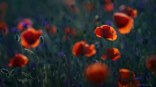 Один среди толпы.