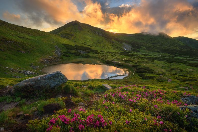 горы, закат, камни, карпаты, небо, облака, озеро, отражение, трава, украина, рододендрон, жереп, несамовитое Гроза рождает чудные мгновенья фото превью