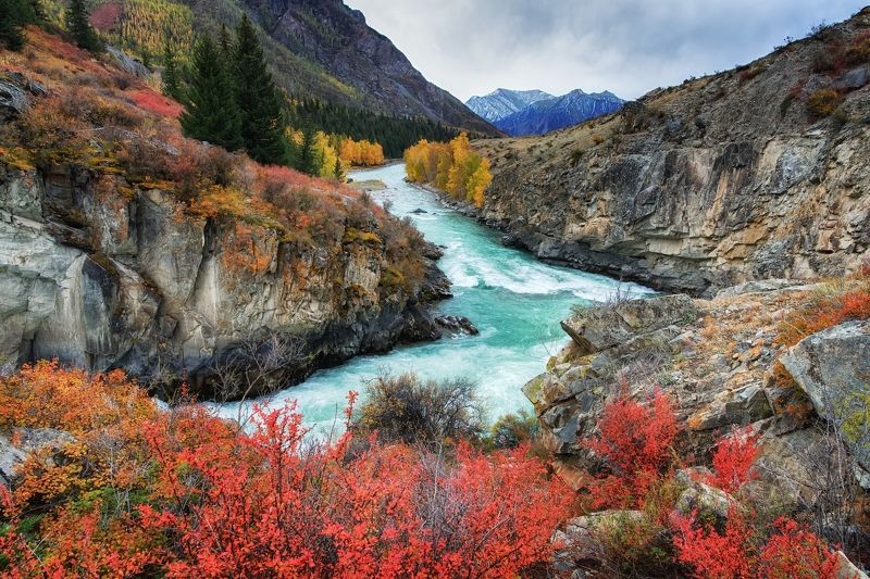 алтай, чуя Осень на Чуе фото превью