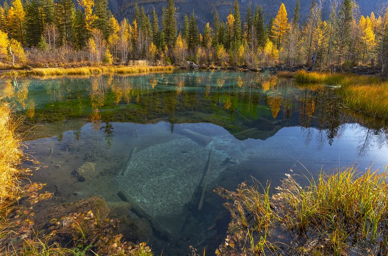 горный алтай, осень, гейзеровое Ещё раз про Гейзеровое. фото превью
