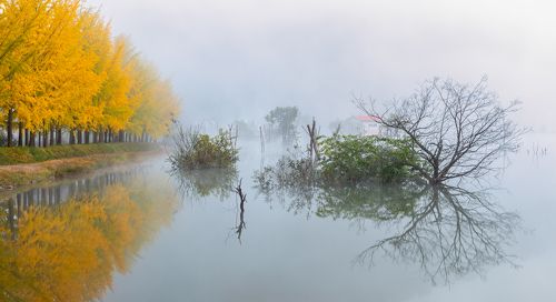 Autumn on the water