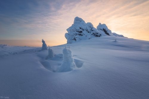Снежные зайчики на полянке