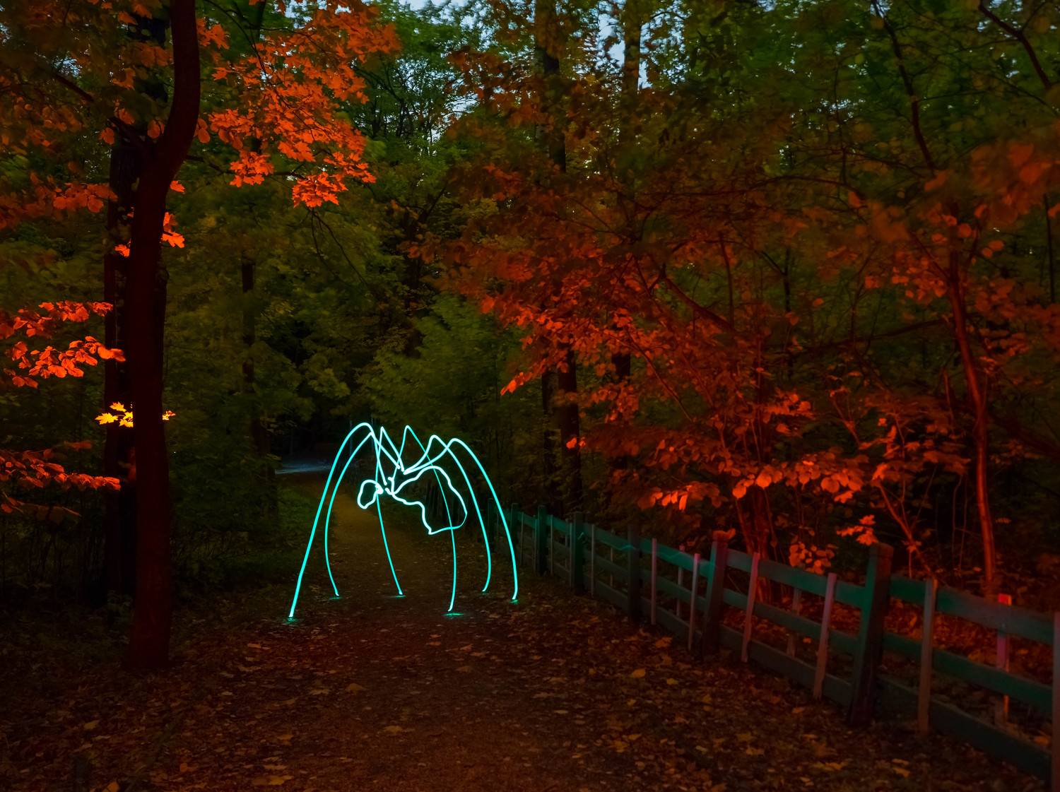 lightpainting, lightart, longexposure, nightphotography, light, night, spider, Николай Требухин