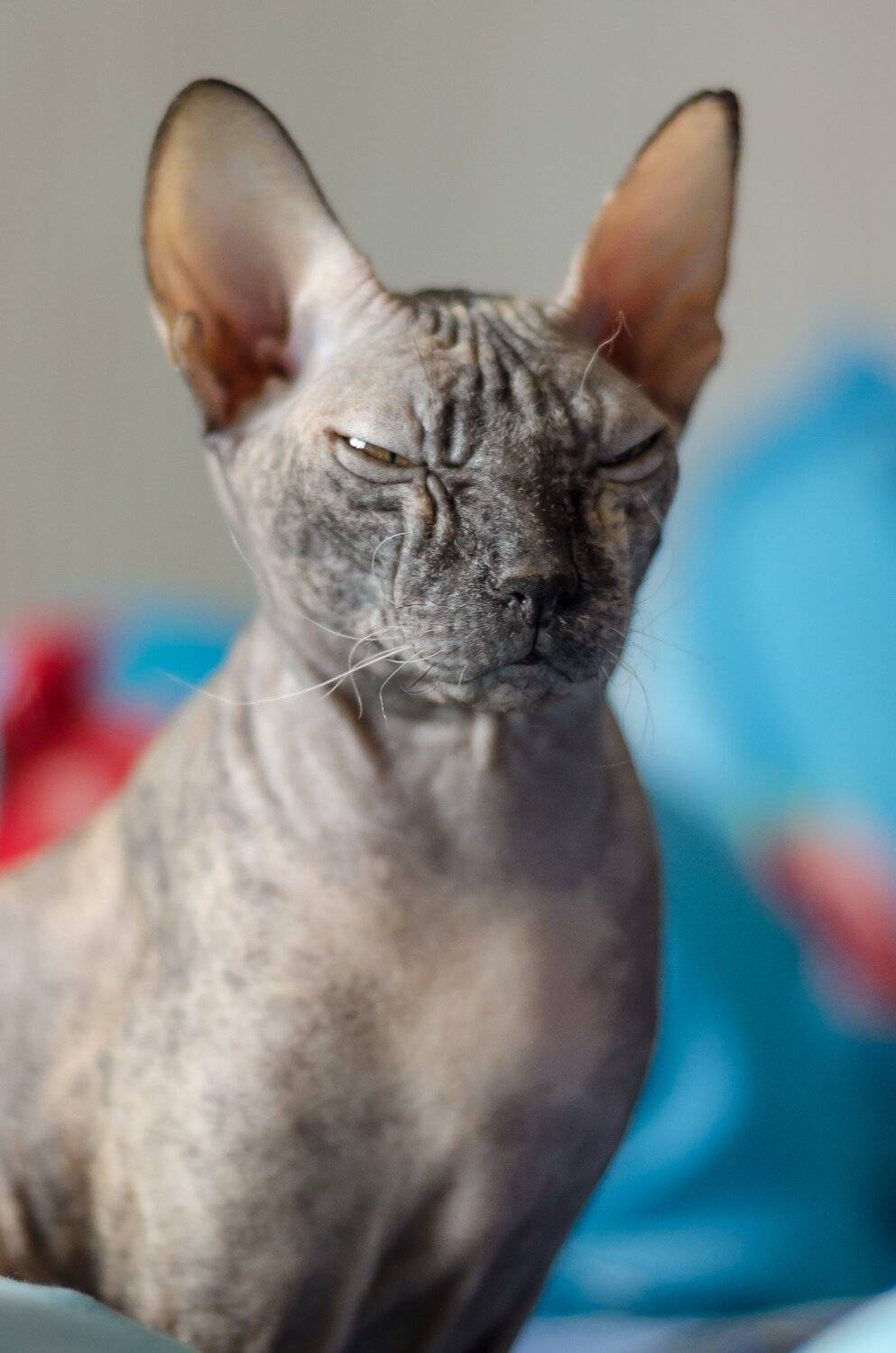 , Вячеслав Владимирович