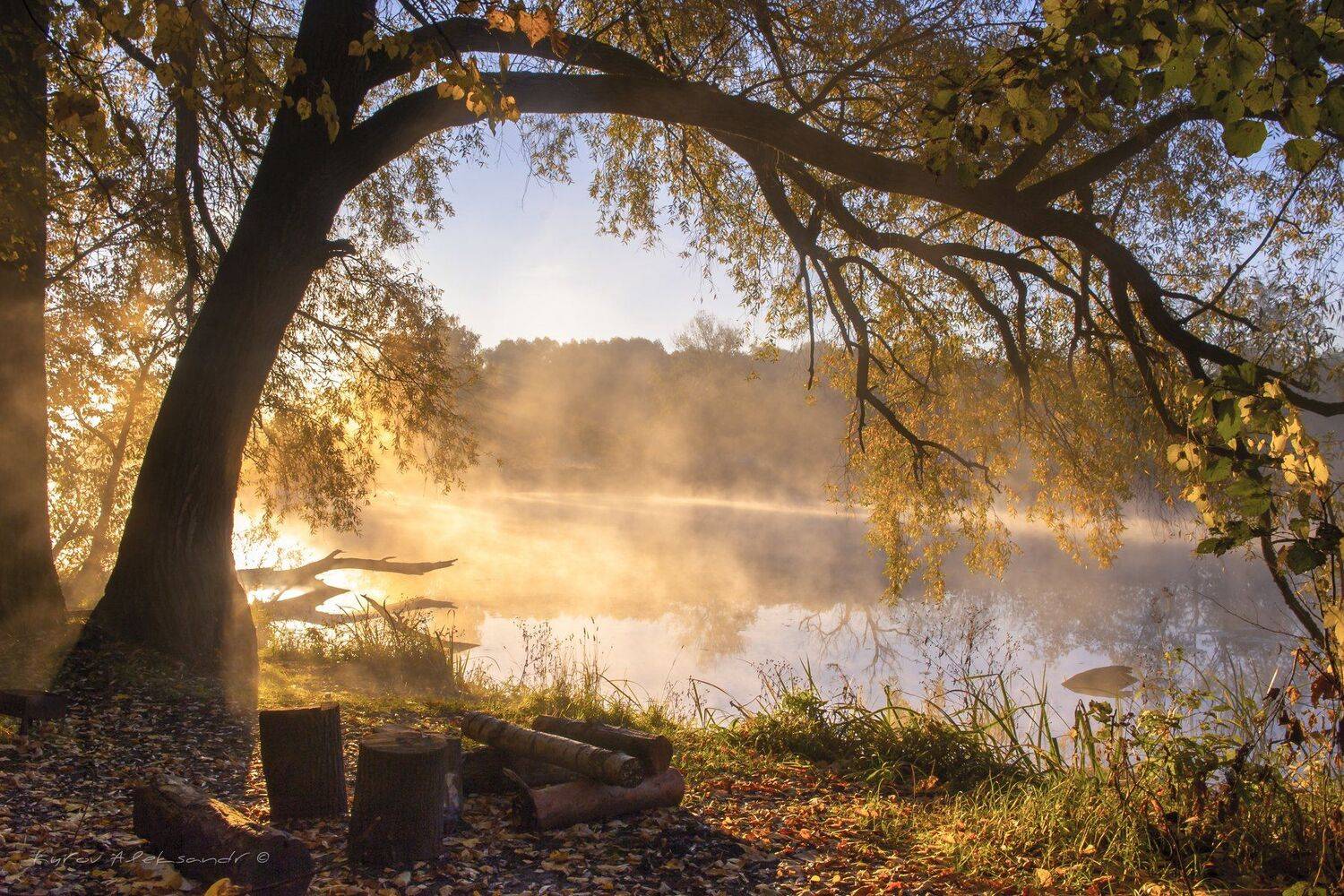 , Александр Кыров