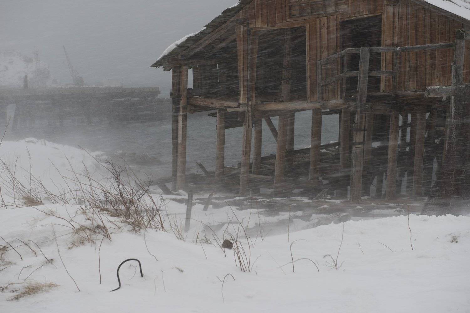 териберка, ветер, метель, Ирина