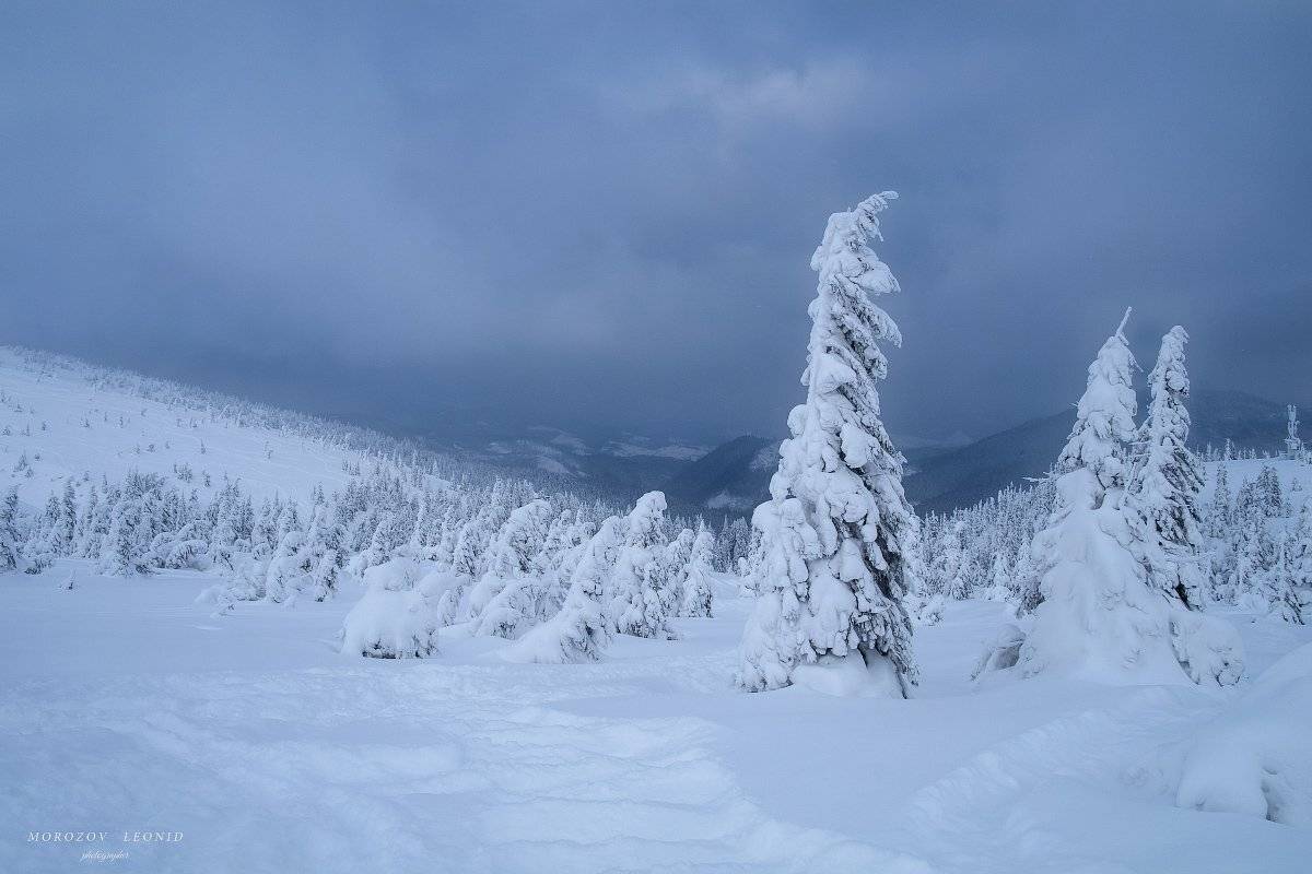 #landscape, #nature, #scenery, #forest, #wood, #autumn, #mist, #misty, #fog, #foggy, #river, #waterfall, #longexposure, #mountain, #vitosha, #bulgari, #aтуман, #лес, #oсень, Леонид Морозов